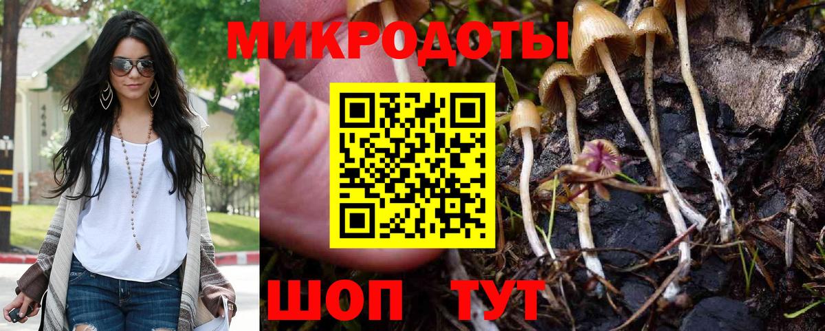 Галлюциногенные грибы Cubensis  Вход с VPN  Тосно  Псилоцибиновые грибы MAGIC MUSHROOMS 